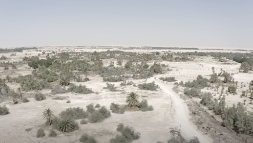 يبرين مدافن دلمون و قبيلة بنو تميم