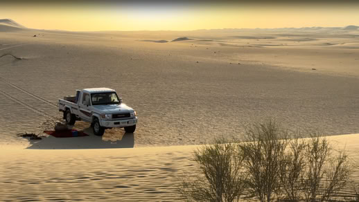 قناة علي محمد علي